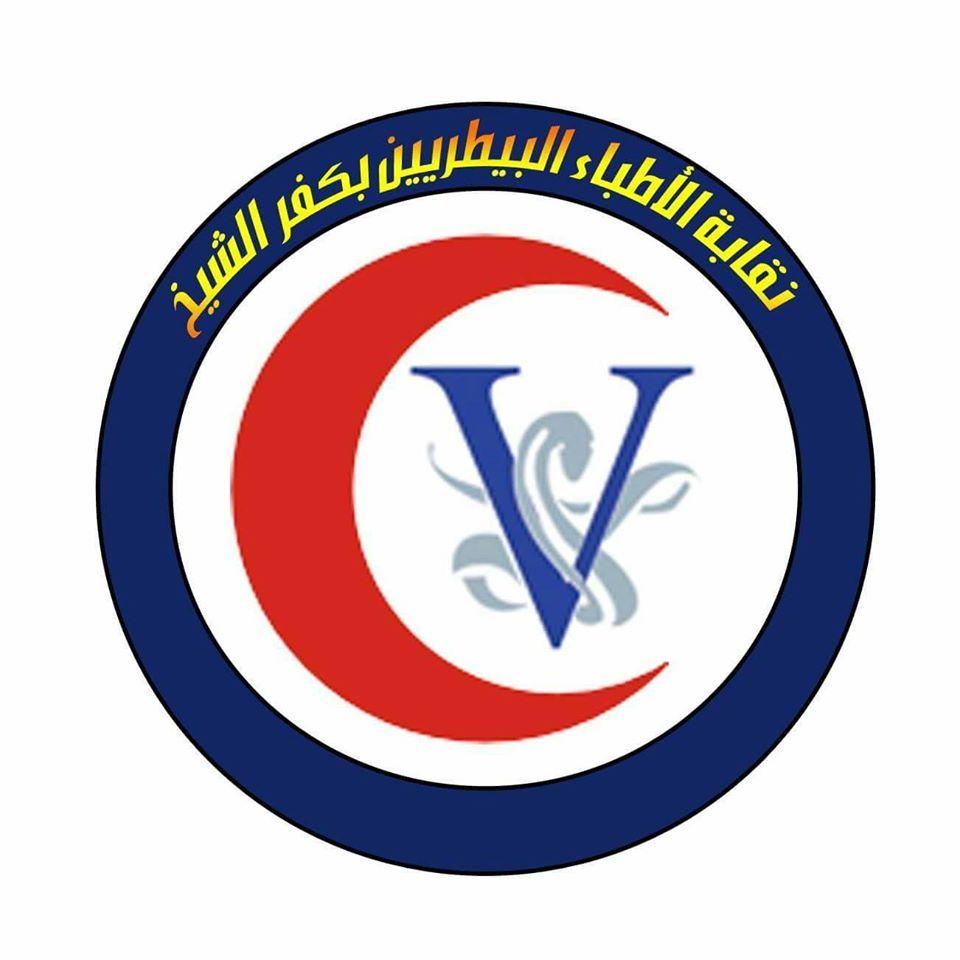 د. أميرة عبدالوهاب مرشح نقابة البيطريين..  هدفى نقابة قوية وتحقيق طموح الشباب